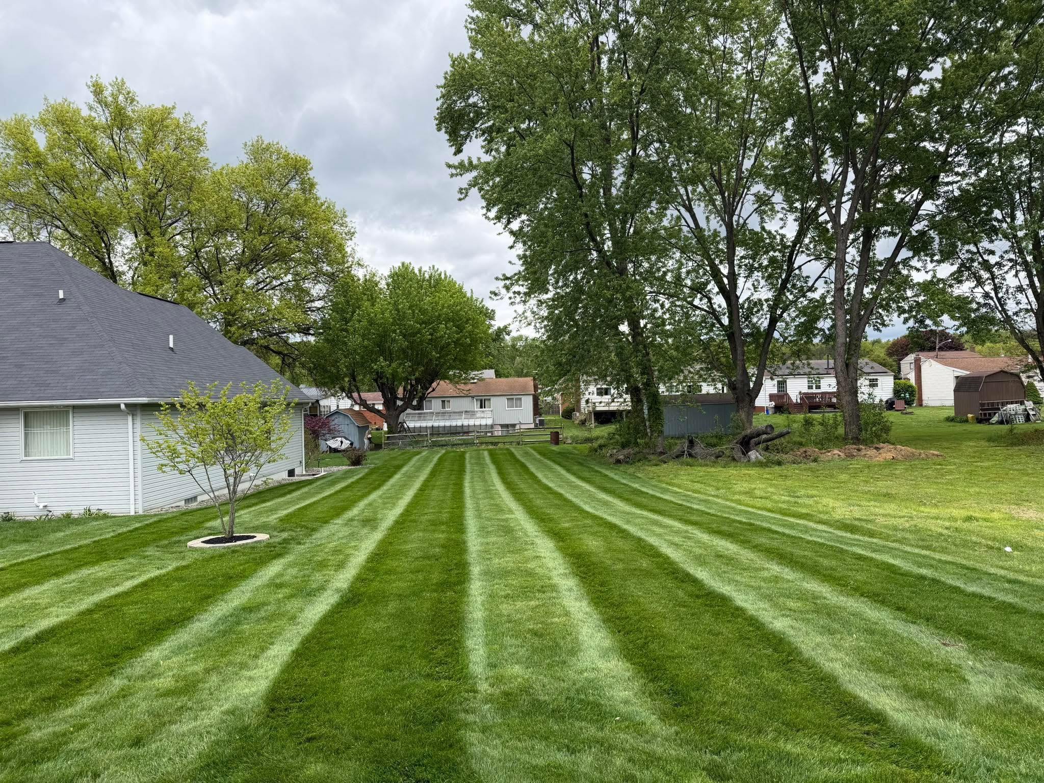 A neatly striped residential lawn cared for by Lacher’s Lawn Care